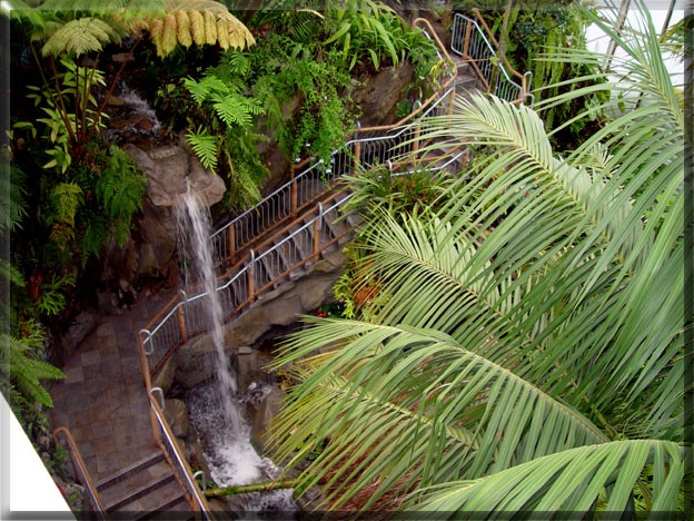 Nature Park With Waterfall