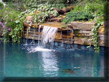 Landscaping Swimming Pool