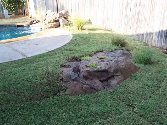 Backyard With Swimming Pool