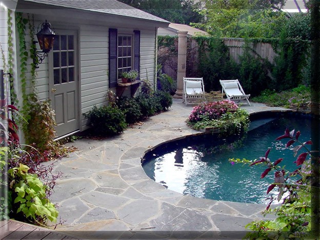 A House With A Swimming Pool