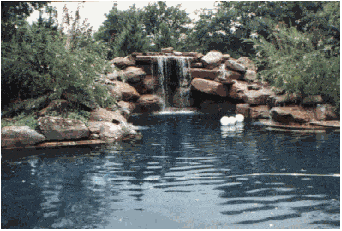 Big Pool With Waterfall